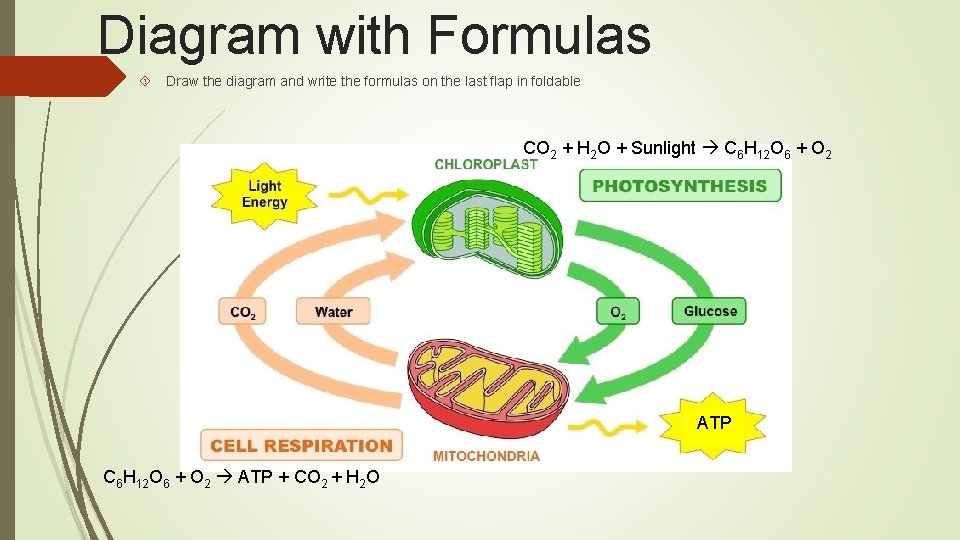 Diagram with Formulas Draw the diagram and write the formulas on the last flap