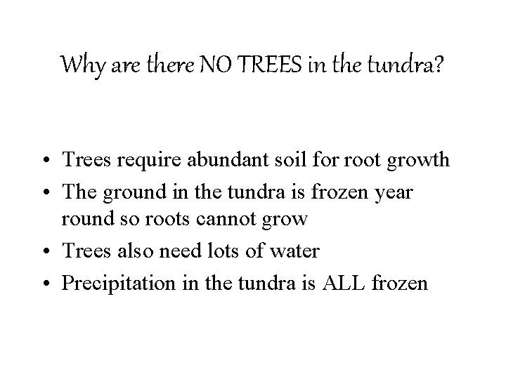 Why are there NO TREES in the tundra? • Trees require abundant soil for