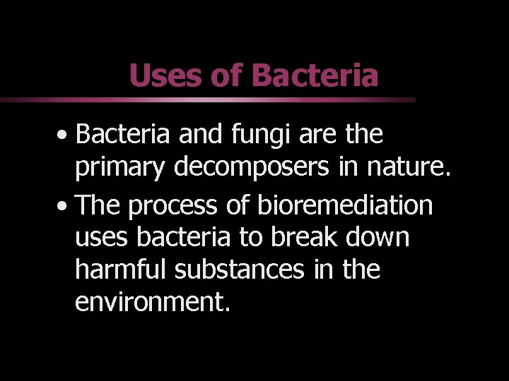 Uses of Bacteria • Bacteria and fungi are the primary decomposers in nature. •