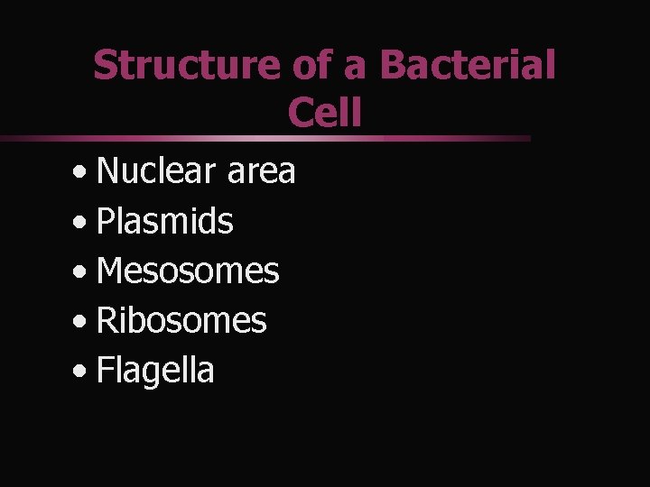 Structure of a Bacterial Cell • Nuclear area • Plasmids • Mesosomes • Ribosomes