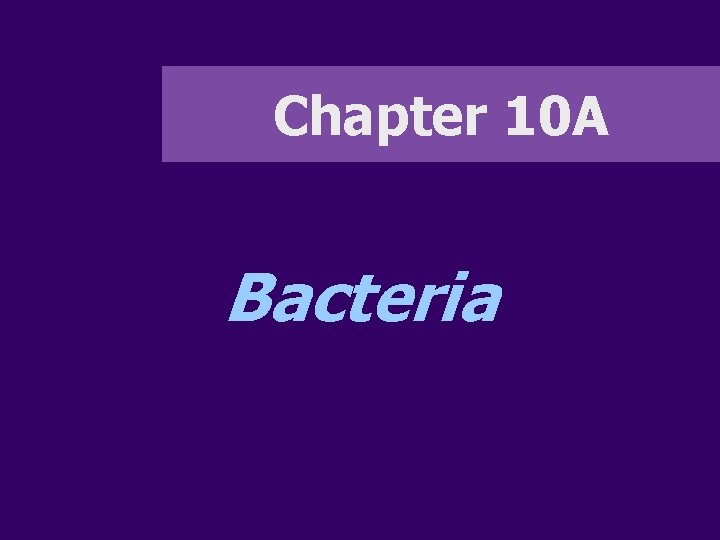 Chapter 10 A Bacteria 