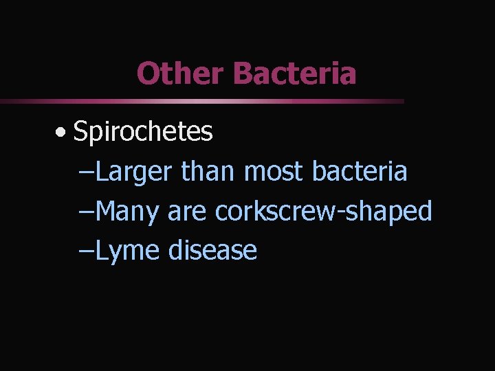 Other Bacteria • Spirochetes –Larger than most bacteria –Many are corkscrew-shaped –Lyme disease 