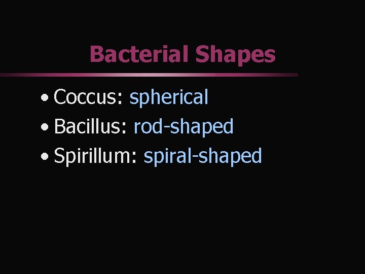 Bacterial Shapes • Coccus: spherical • Bacillus: rod-shaped • Spirillum: spiral-shaped 