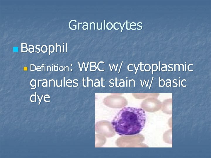 Granulocytes n Basophil : WBC w/ cytoplasmic granules that stain w/ basic dye n