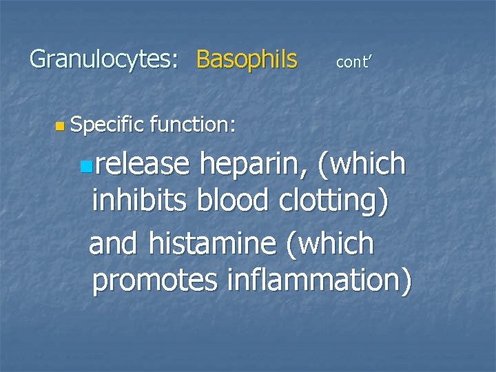 Granulocytes: Basophils n Specific cont’ function: nrelease heparin, (which inhibits blood clotting) and histamine