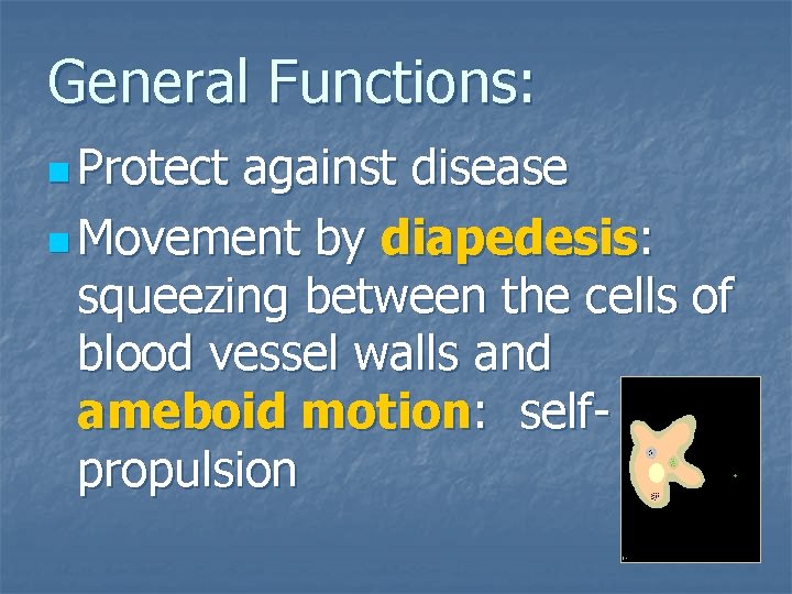 General Functions: n Protect against disease n Movement by diapedesis: squeezing between the cells