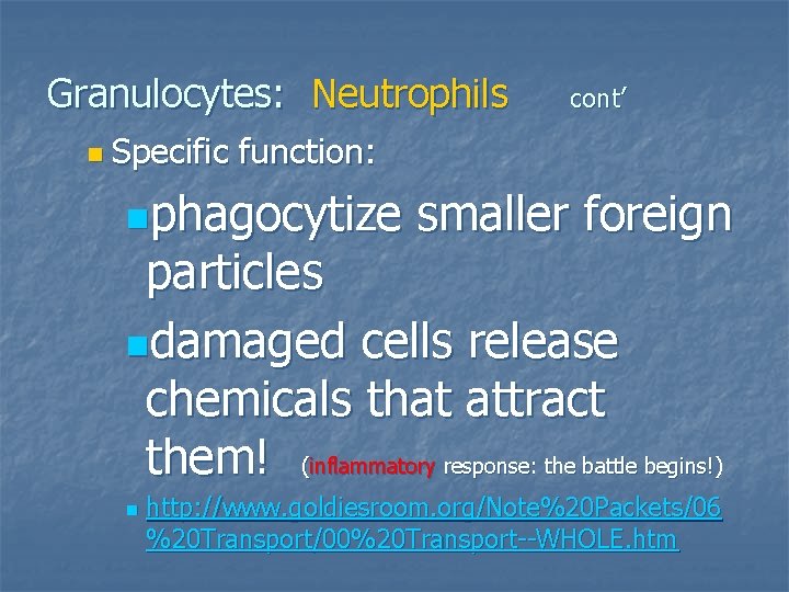 Granulocytes: Neutrophils n Specific cont’ function: nphagocytize smaller foreign particles ndamaged cells release chemicals