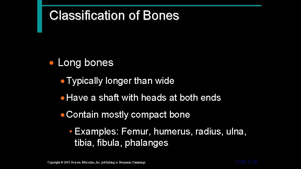 Classification of Bones · Long bones · Typically longer than wide · Have a