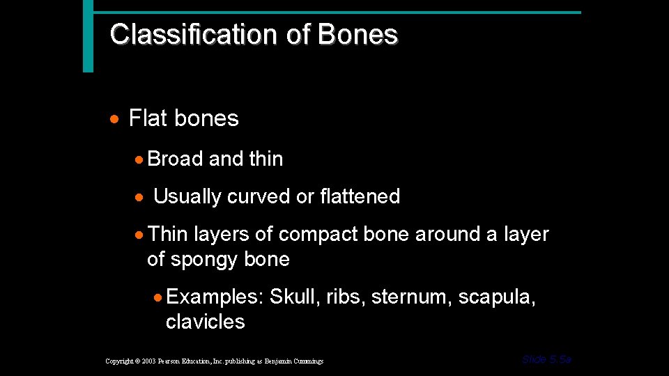 Classification of Bones · Flat bones · Broad and thin · Usually curved or