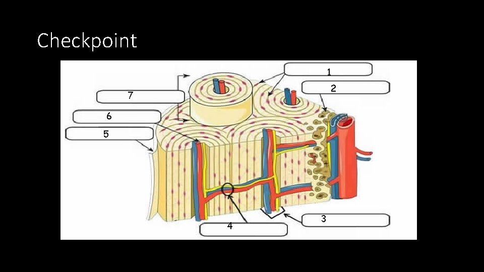 Checkpoint 1 2 7 6 5 4 3 