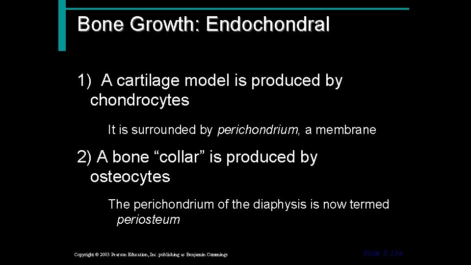 Bone Growth: Endochondral 1) A cartilage model is produced by chondrocytes It is surrounded