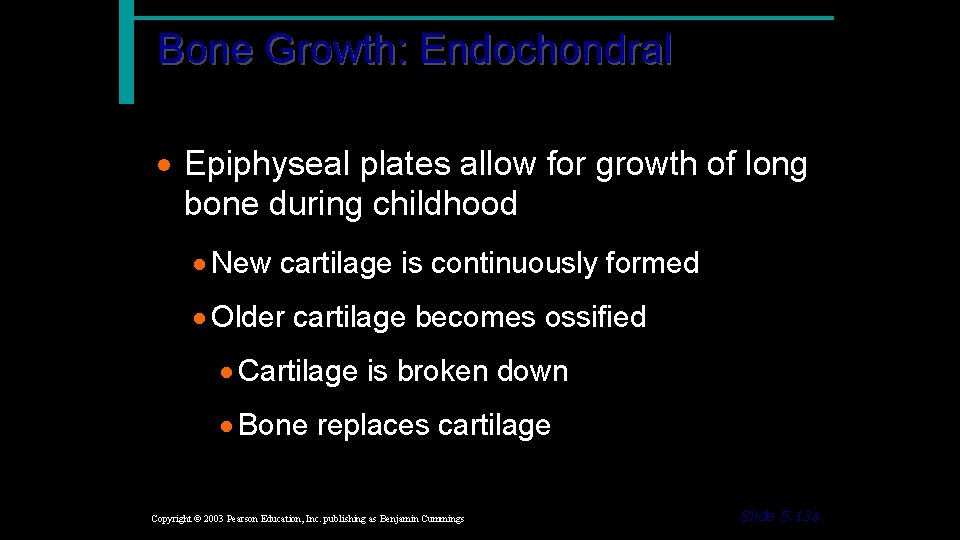 Bone Growth: Endochondral · Epiphyseal plates allow for growth of long bone during childhood