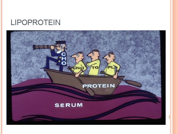 LIPOPROTEIN 