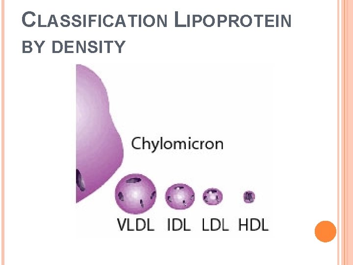 CLASSIFICATION LIPOPROTEIN BY DENSITY 