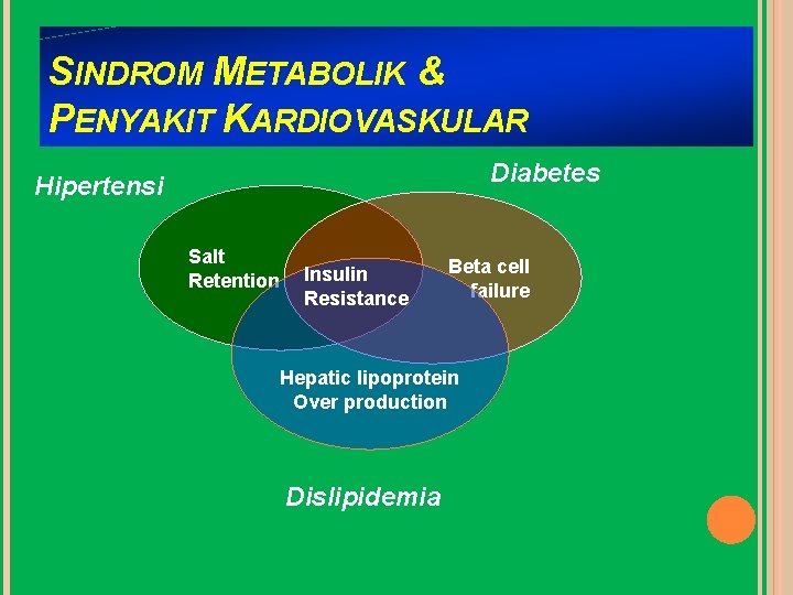 SINDROM METABOLIK & PENYAKIT KARDIOVASKULAR Diabetes Hipertensi Salt Retention Insulin Resistance Beta cell failure