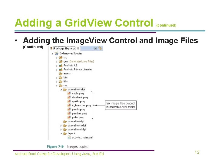 Adding a Grid. View Control (continued) • Adding the Image. View Control and Image