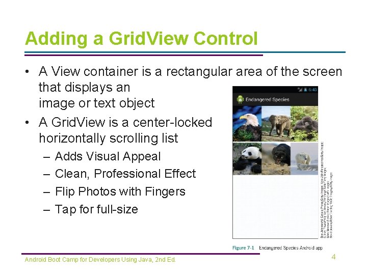 Adding a Grid. View Control • A View container is a rectangular area of