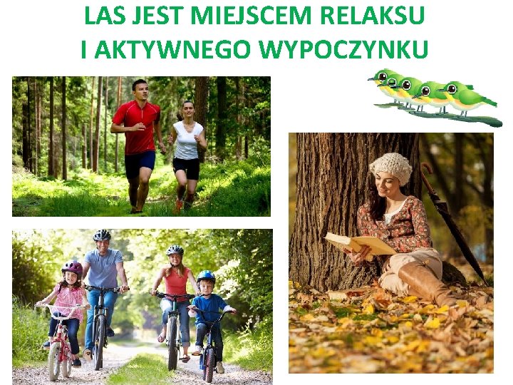 LAS JEST MIEJSCEM RELAKSU I AKTYWNEGO WYPOCZYNKU 