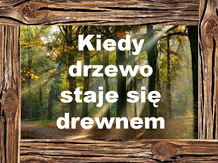 Kiedy drzewo staje się drewnem 