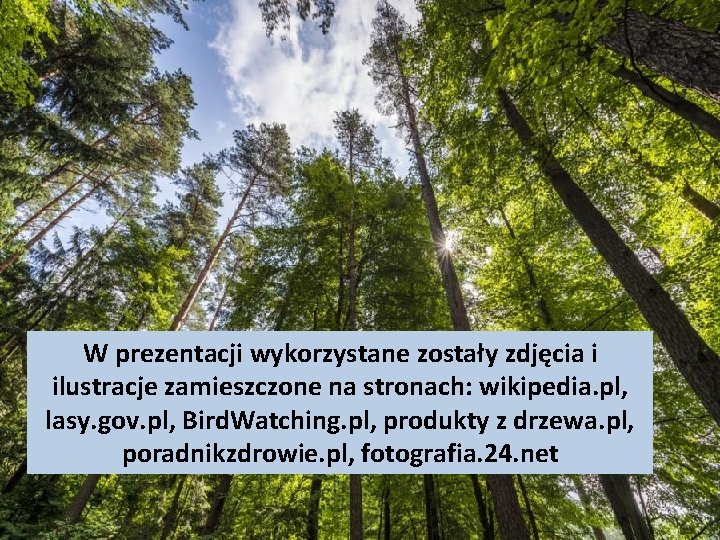 W prezentacji wykorzystane zostały zdjęcia i ilustracje zamieszczone na stronach: wikipedia. pl, lasy. gov.