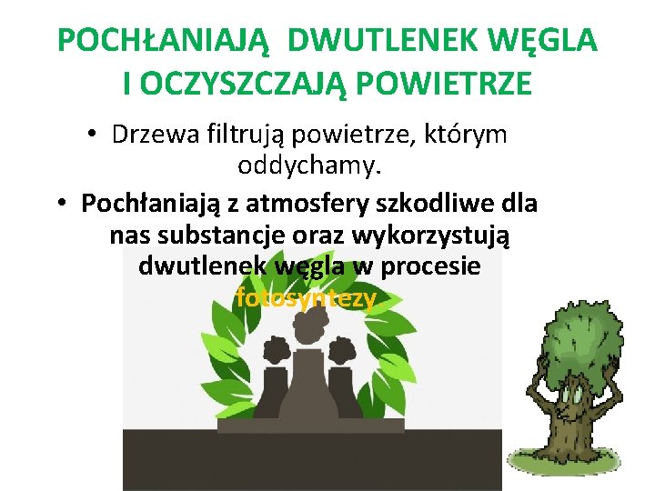 POCHŁANIAJĄ DWUTLENEK WĘGLA I OCZYSZCZAJĄ POWIETRZE • Drzewa filtrują powietrze, którym oddychamy. • Pochłaniają