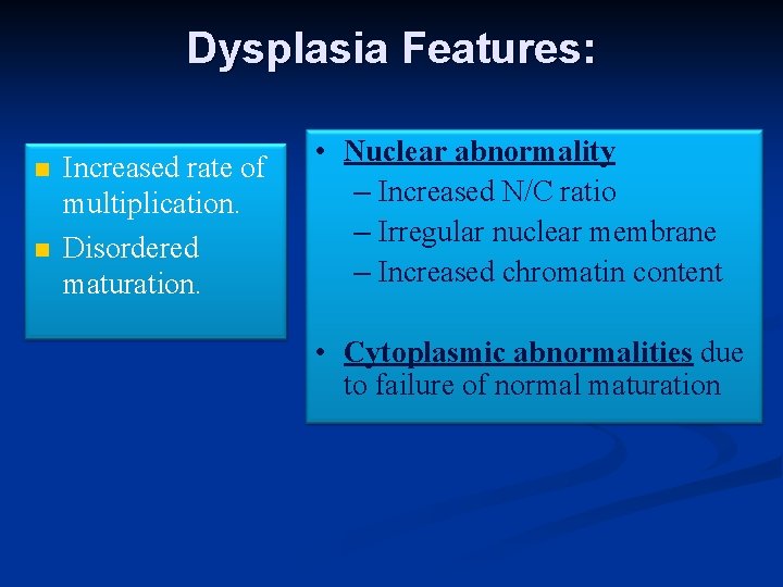 Dysplasia Features: n n Increased rate of multiplication. Disordered maturation. • Nuclear abnormality –