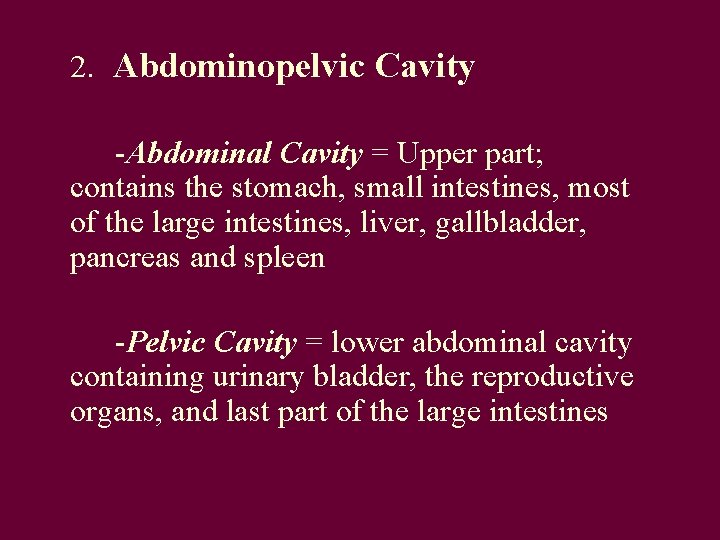 2. Abdominopelvic Cavity -Abdominal Cavity = Upper part; contains the stomach, small intestines, most