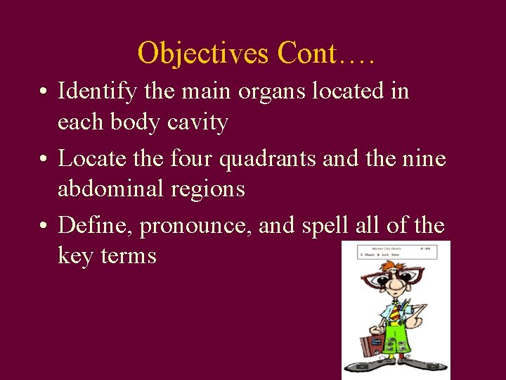 Objectives Cont…. • Identify the main organs located in each body cavity • Locate