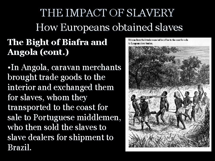 THE IMPACT OF SLAVERY How Europeans obtained slaves The Bight of Biafra and Angola