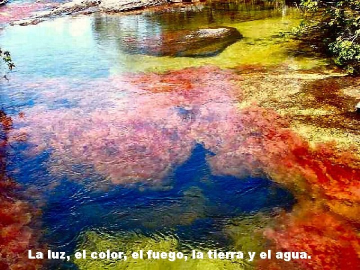 La luz, el color, el fuego, la tierra y el agua. 