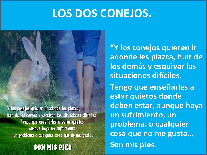 LOS DOS CONEJOS. • “Y los conejos quieren ir adonde les plazca, huir de