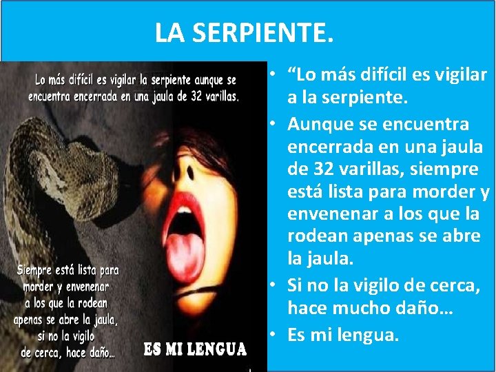 LA SERPIENTE. • “Lo más difícil es vigilar a la serpiente. • Aunque se