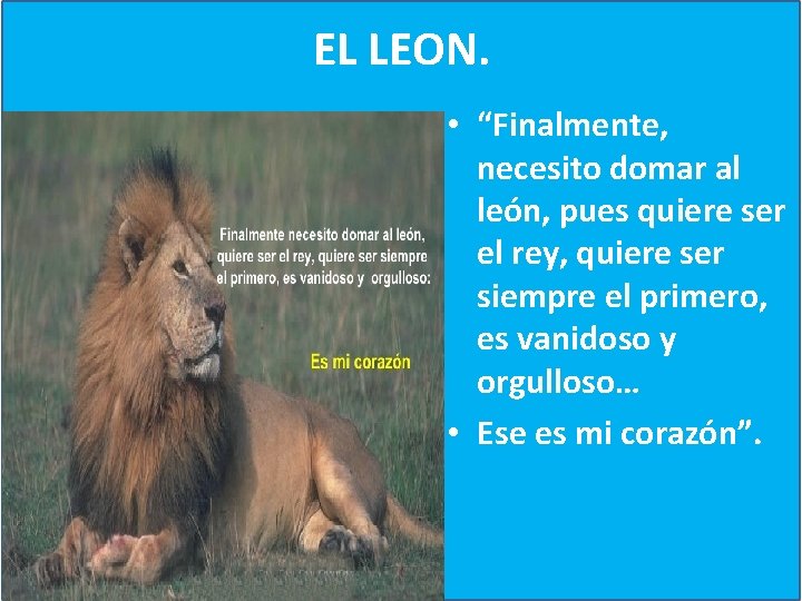 EL LEON. • “Finalmente, necesito domar al león, pues quiere ser el rey, quiere