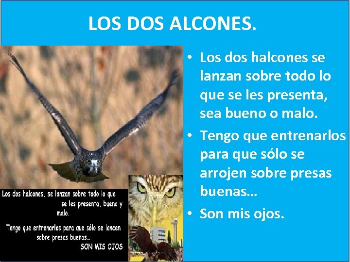 LOS DOS ALCONES. • Los dos halcones se lanzan sobre todo lo que se