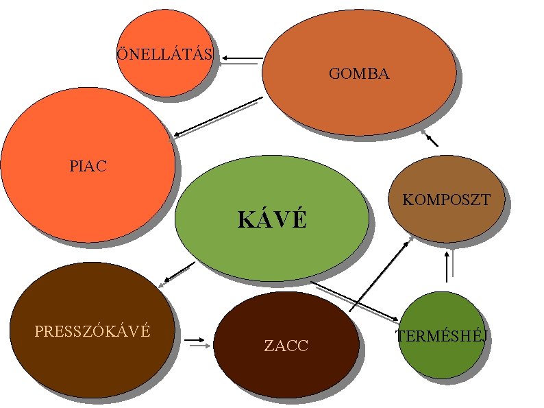 ÖNELLÁTÁS GOMBA PIAC KÁVÉ PRESSZÓKÁVÉ ZACC KOMPOSZT TERMÉSHÉJ 