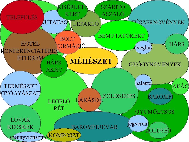 KÍSÉRLETI SZÁRÍTÓ KERT ASZALÓ TELEPÜLÉS KUTATÁS LEPÁRLÓ FŰSZERNÖVÉNYEK RÉT BEMUTATÓKERT BOLT HOTEL HÁRS INFORMÁCIÓ