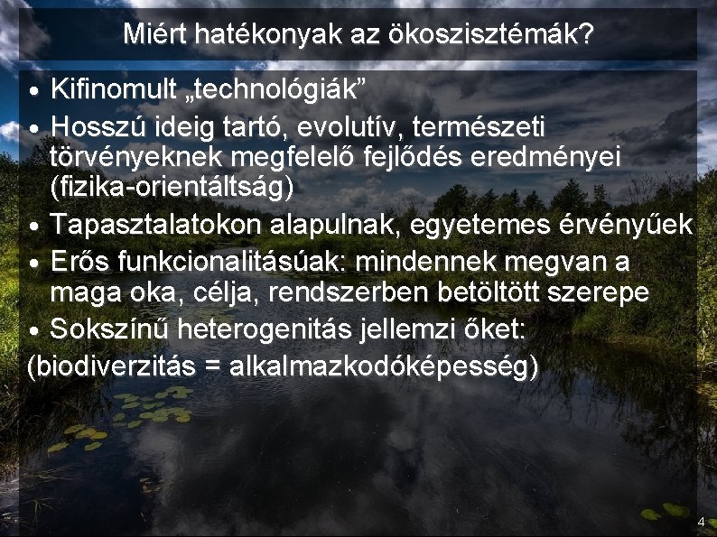 Miért hatékonyak az ökoszisztémák? • Kifinomult „technológiák” • Hosszú ideig tartó, evolutív, természeti törvényeknek