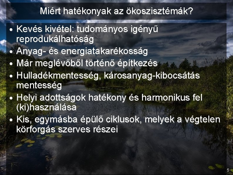 Miért hatékonyak az ökoszisztémák? • Kevés kivétel: tudományos igényű reprodukálhatóság • Anyag- és energiatakarékosság