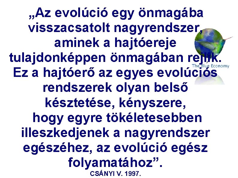 „Az evolúció egy önmagába visszacsatolt nagyrendszer, aminek a hajtóereje tulajdonképpen önmagában rejlik. Ez a