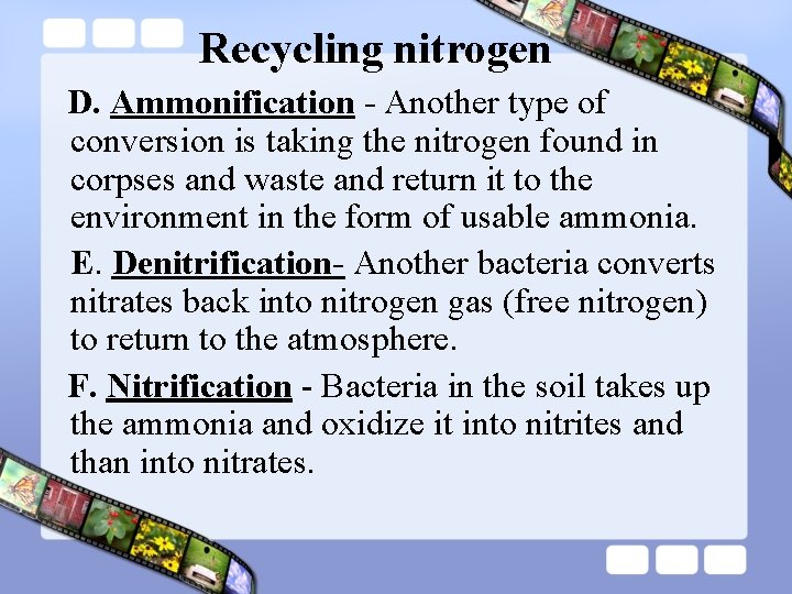 Recycling nitrogen D. Ammonification - Another type of conversion is taking the nitrogen found