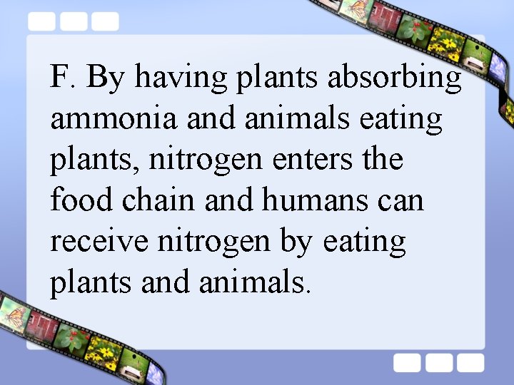 F. By having plants absorbing ammonia and animals eating plants, nitrogen enters the food