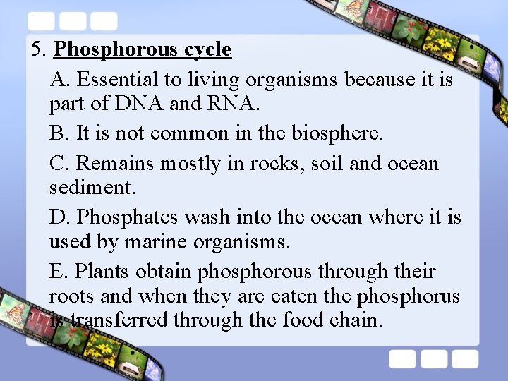 5. Phosphorous cycle A. Essential to living organisms because it is part of DNA