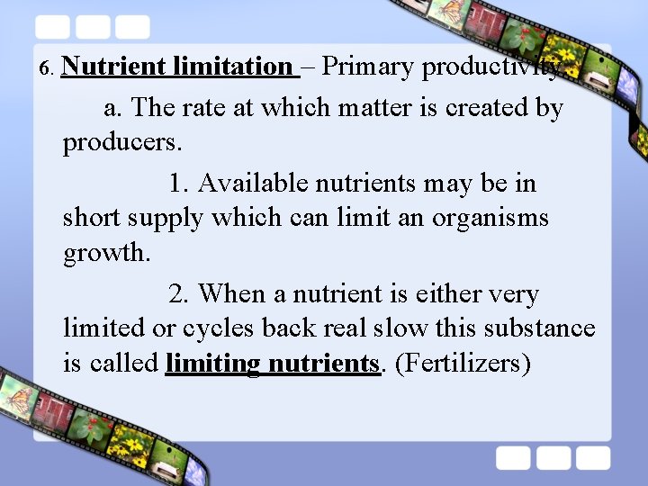 6. Nutrient limitation – Primary productivity. a. The rate at which matter is created