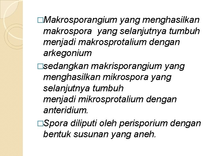 �Makrosporangium yang menghasilkan makrospora yang selanjutnya tumbuh menjadi makrosprotalium dengan arkegonium �sedangkan makrisporangium yang