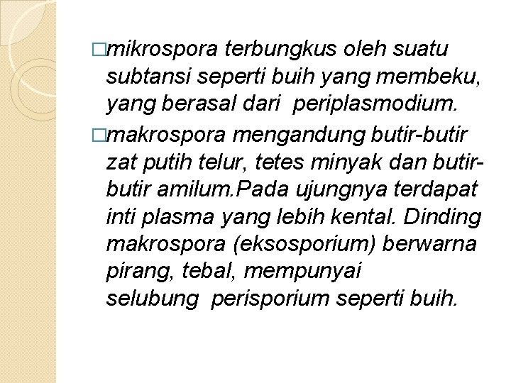 �mikrospora terbungkus oleh suatu subtansi seperti buih yang membeku, yang berasal dari periplasmodium. �makrospora