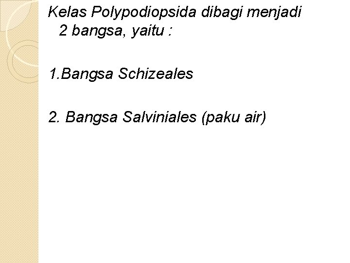 Kelas Polypodiopsida dibagi menjadi 2 bangsa, yaitu : 1. Bangsa Schizeales 2. Bangsa Salviniales