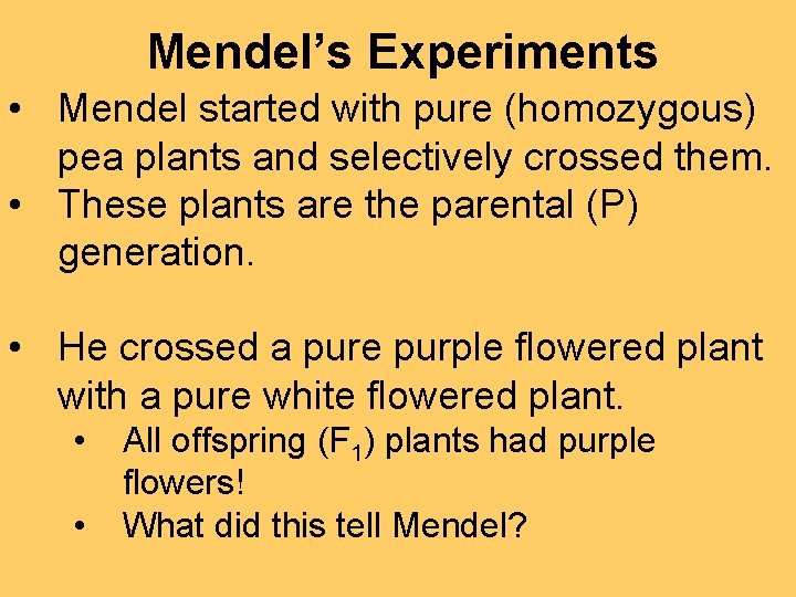 Mendel’s Experiments • Mendel started with pure (homozygous) pea plants and selectively crossed them.