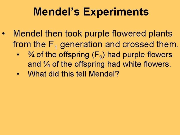 Mendel’s Experiments • Mendel then took purple flowered plants from the F 1 generation