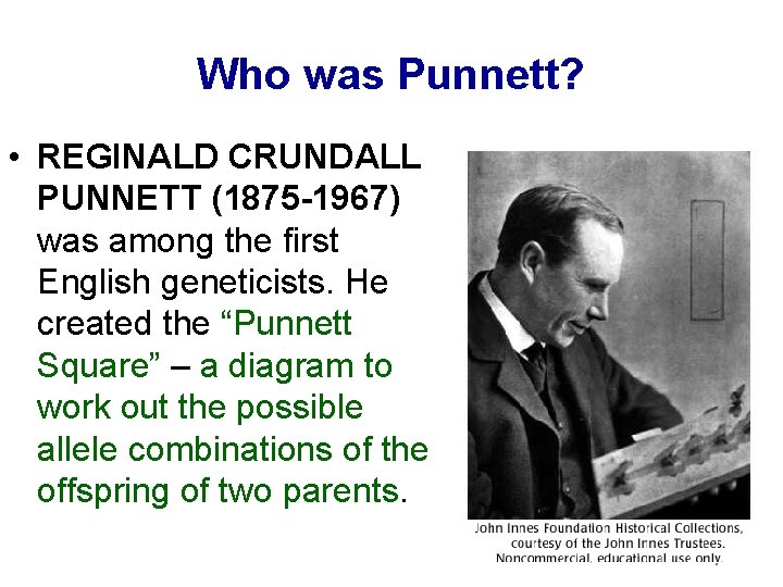 Who was Punnett? • REGINALD CRUNDALL PUNNETT (1875 -1967) was among the first English