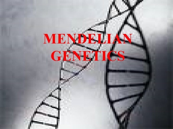 MENDELIAN GENETICS 